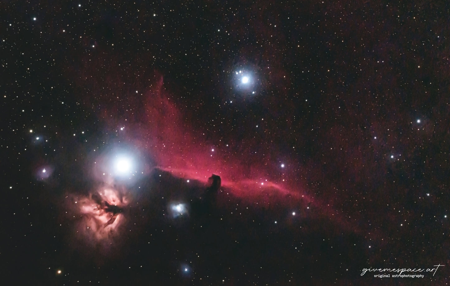Horsehead Nebula Metal Plaque