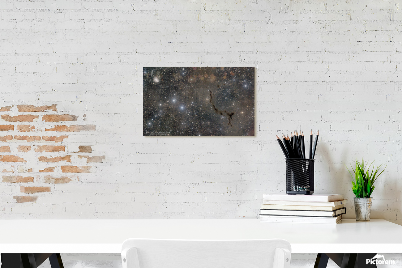 Seahorse Nebula metal plaque