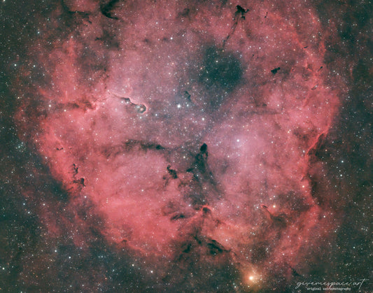 14x11" Elephant's Trunk Nebula Framed Print