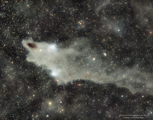 14x11" Shark Nebula Framed Print