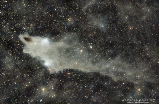 Shark Nebula Metal Plaque